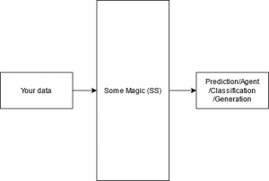 A typical SS system. The output is either a statistical: prediction based on new data, an agent that has learnt some behaviour on that data, a classifier that tells you what class some data belongs to, or a generator which generates new patterns based on the data that it has learned.